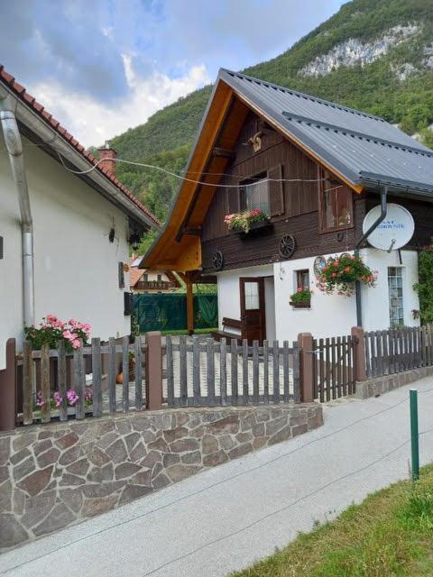 Apartmaji Bohinj Esterno foto